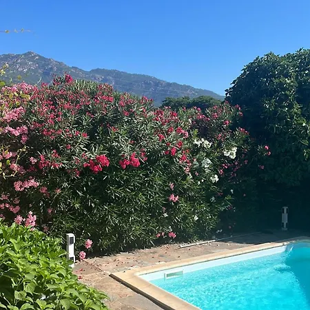 Privée Dans Un Cadre Verdoyant , Piscine Et Grand Jardin Porto Vecchio