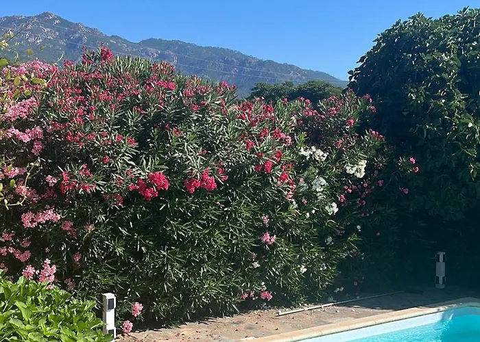 Privée Dans Un Cadre Verdoyant , Piscine Et Grand Jardin Porto-Vecchio (Corsica)